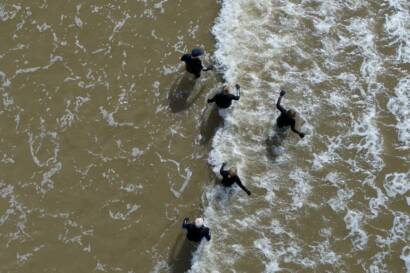 Mairie de Cayeux sur Mer : Longe-côte, la rando caouaise a vu le jour