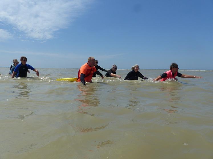 Action agricole picarde : En immersion avec les longeurs de Cayeux-sur-Mer